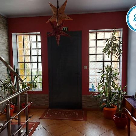 Appartement Nelocas House à Ponta Delgada Extérieur photo